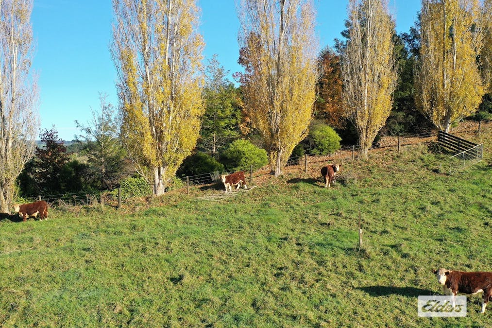 36 Buttners Saddle Road, Carrajung Lower, VIC, 3844 - Image 4