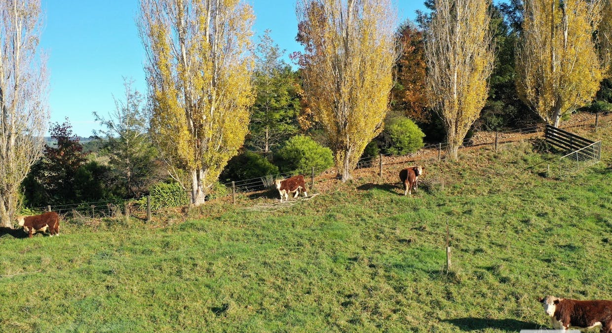 36 Buttners Saddle Road, Carrajung Lower, VIC, 3844 - Image 4