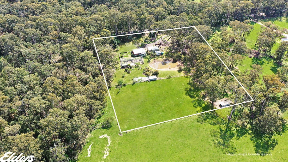 445 Bolgers Road, Devon North, VIC, 3971 - Image 2