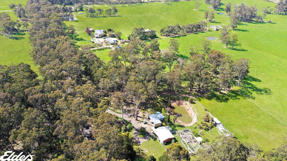 445 Bolgers Road, Devon North, VIC, 3971 - Image 3