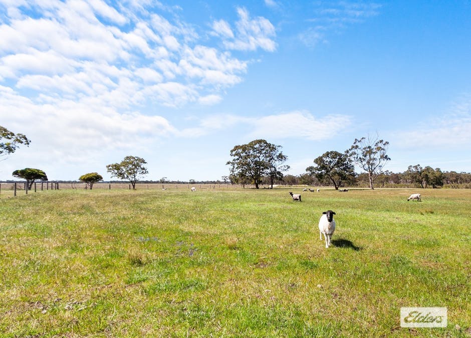 628 Nicholls Road, Stradbroke, VIC, 3851 - Image 17