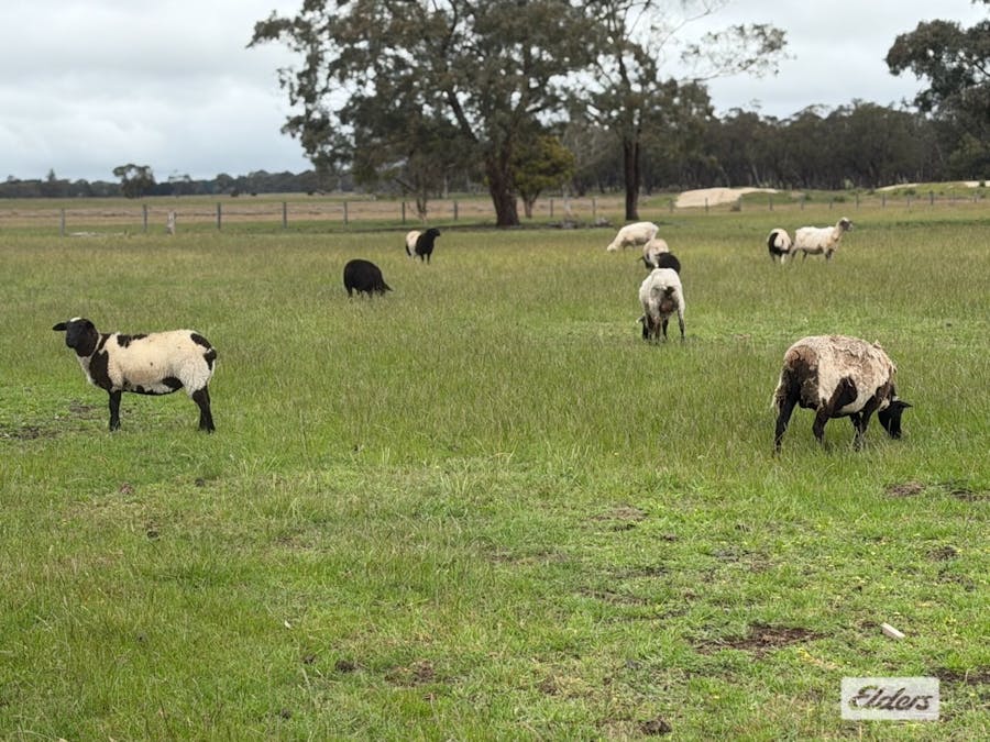 628 Nicholls Road, Stradbroke, VIC, 3851 - Image 21