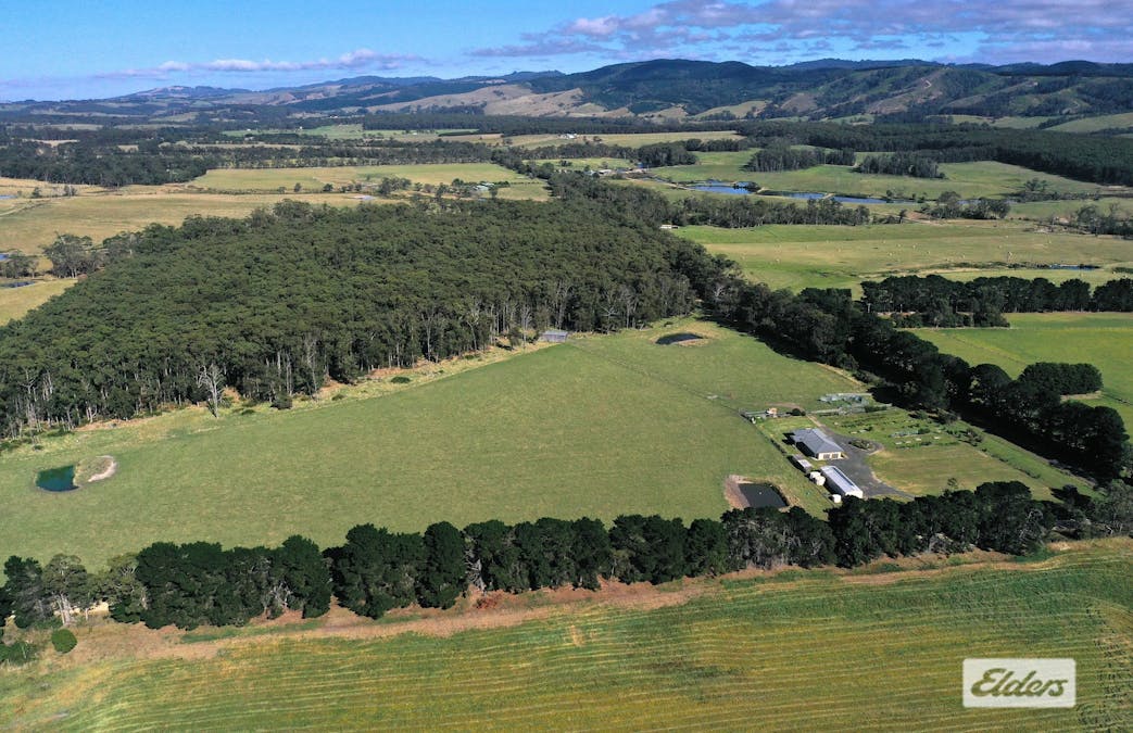 1143 Hedley Range Road, Binginwarri, VIC, 3966 - Image 1