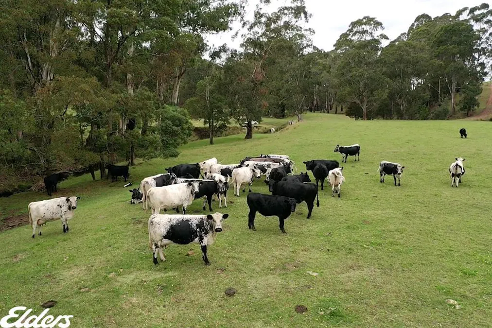 235 Lays Road, Willung South, VIC, 3847 - Image 26