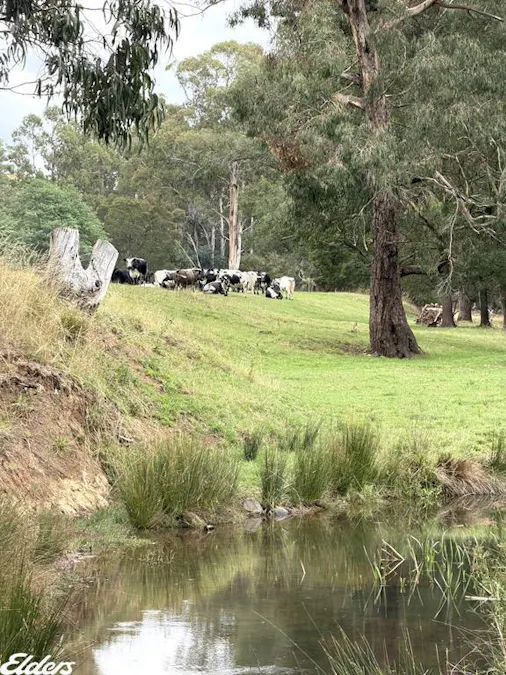 235 Lays Road, Willung South, VIC, 3847 - Image 28