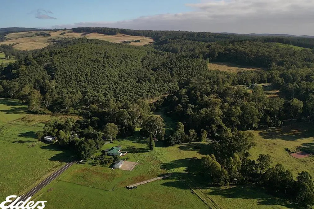 4229 Hyland Highway, Won Wron, VIC, 3971 - Image 15