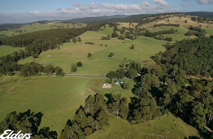 4229 Hyland Highway, Won Wron, VIC, 3971 - Image 1