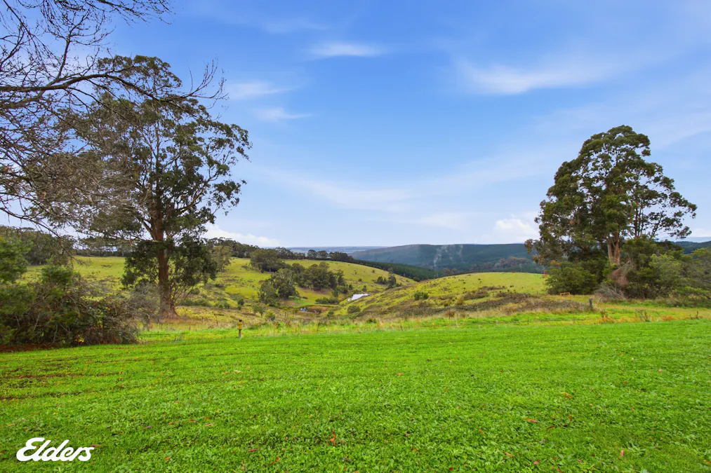 849 Bolgers Road, Devon North, VIC, 3971 - Image 24