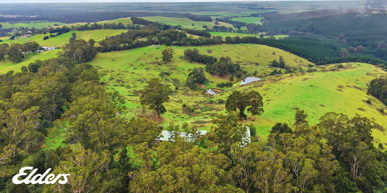 849 Bolgers Road, Devon North, VIC, 3971 - Image 30