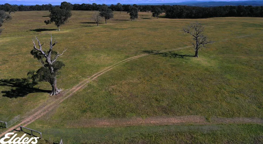 444 Cemetery Road, Briagolong, VIC, 3860 - Image 20