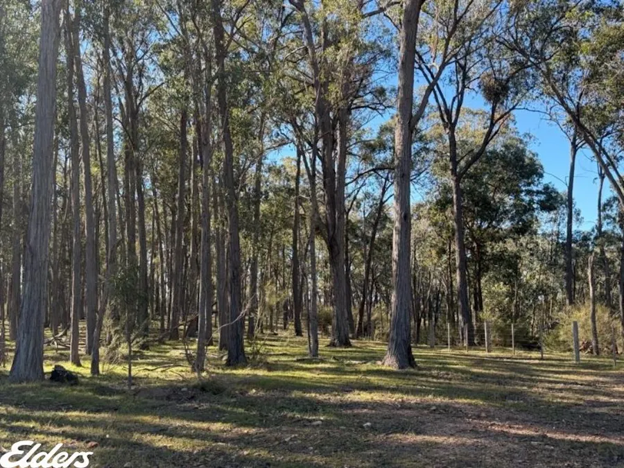 444 Cemetery Road, Briagolong, VIC, 3860 - Image 5