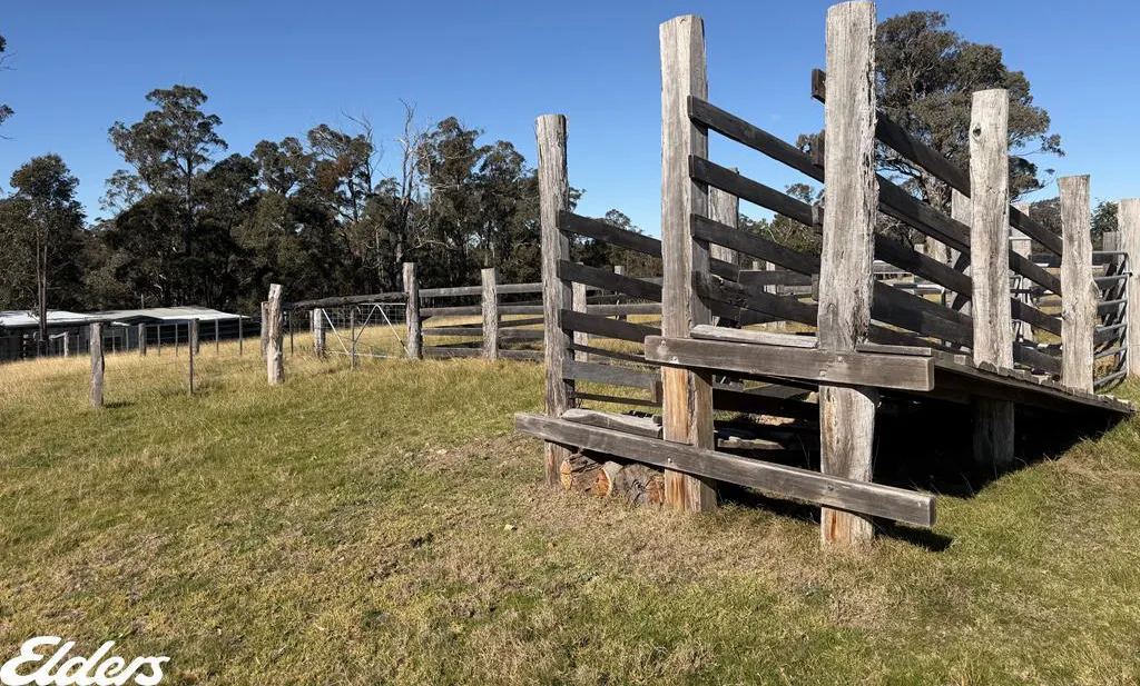 444 Cemetery Road, Briagolong, VIC, 3860 - Image 8