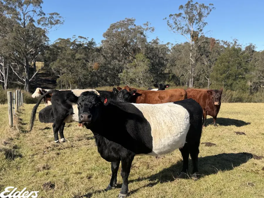 444 Cemetery Road, Briagolong, VIC, 3860 - Image 19