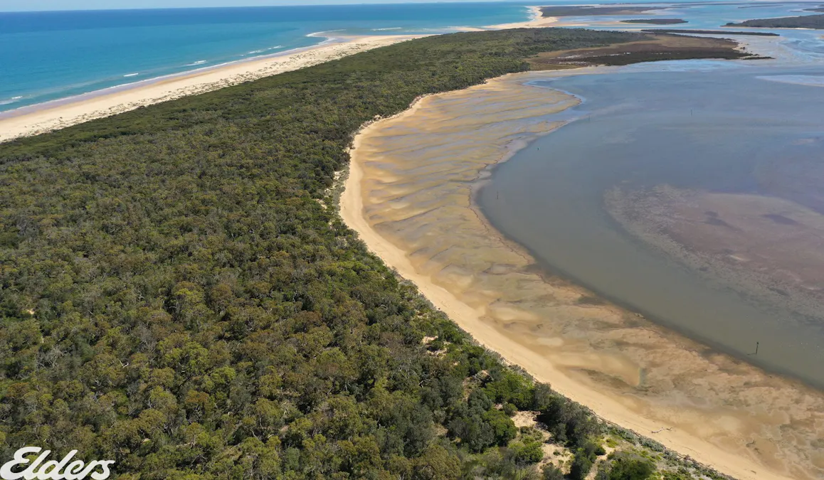 33 Janette Street, Mcloughlins Beach, VIC, 3874 - Image 5