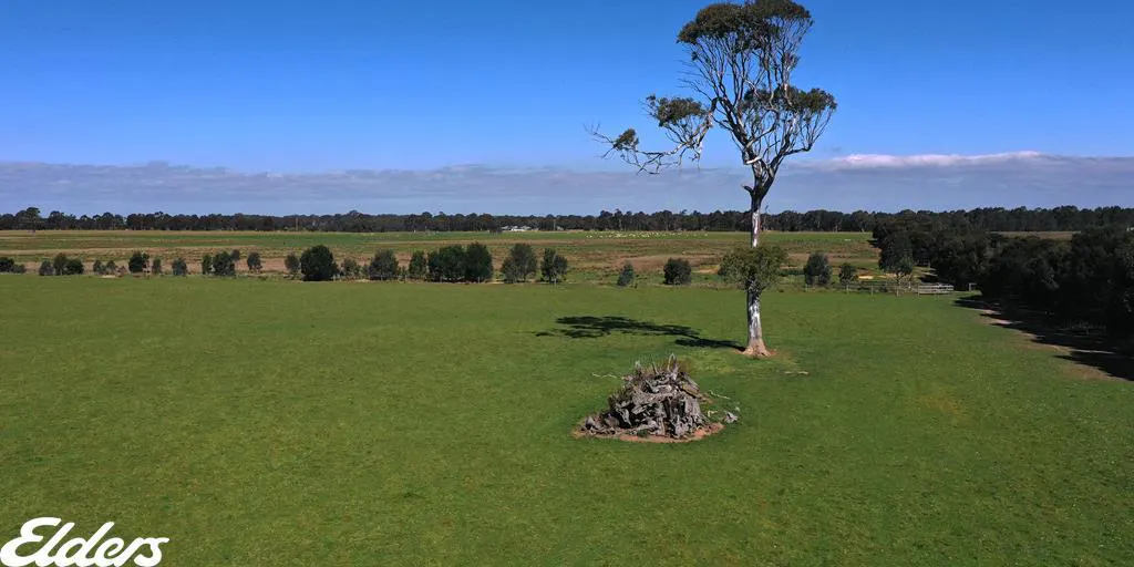 209 Gooch Road, Stratford, VIC, 3862 - Image 6