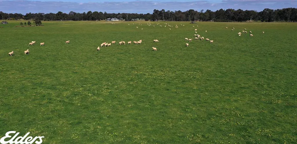 209 Gooch Road, Stratford, VIC, 3862 - Image 12