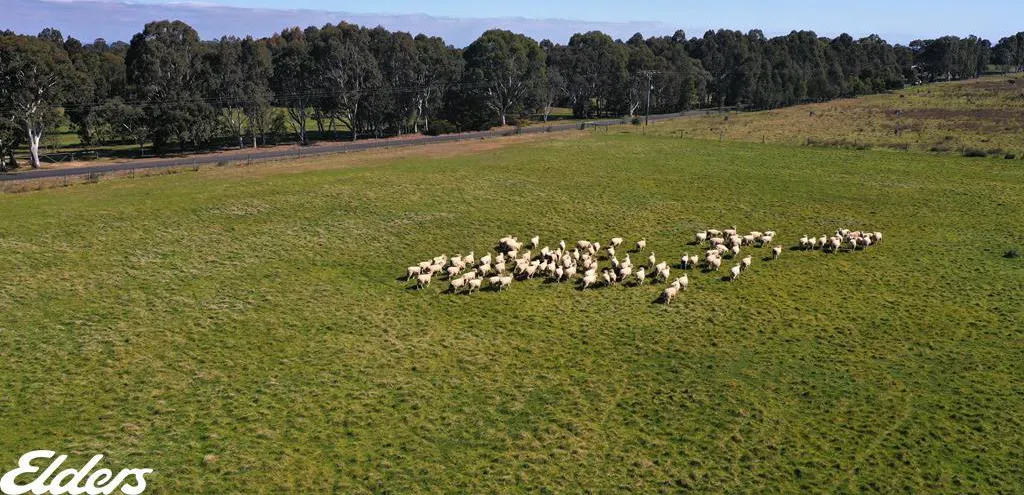 209 Gooch Road, Stratford, VIC, 3862 - Image 9