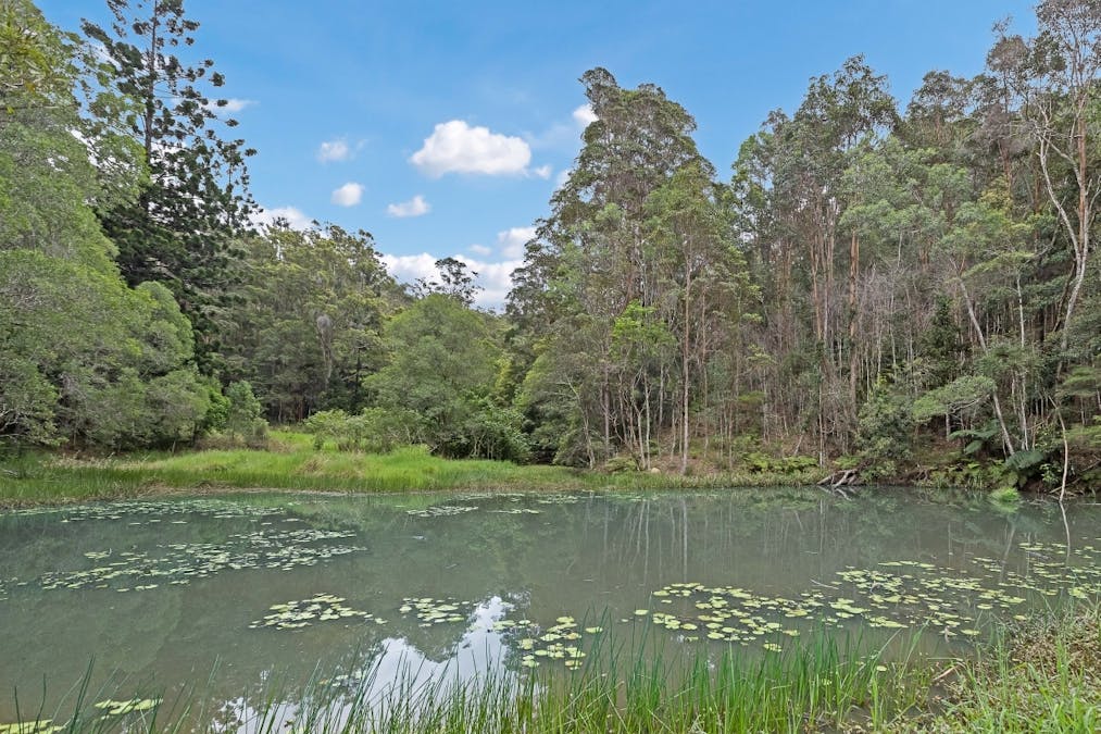 908 Reserve Creek Road, Reserve Creek, NSW, 2484 - Image 10