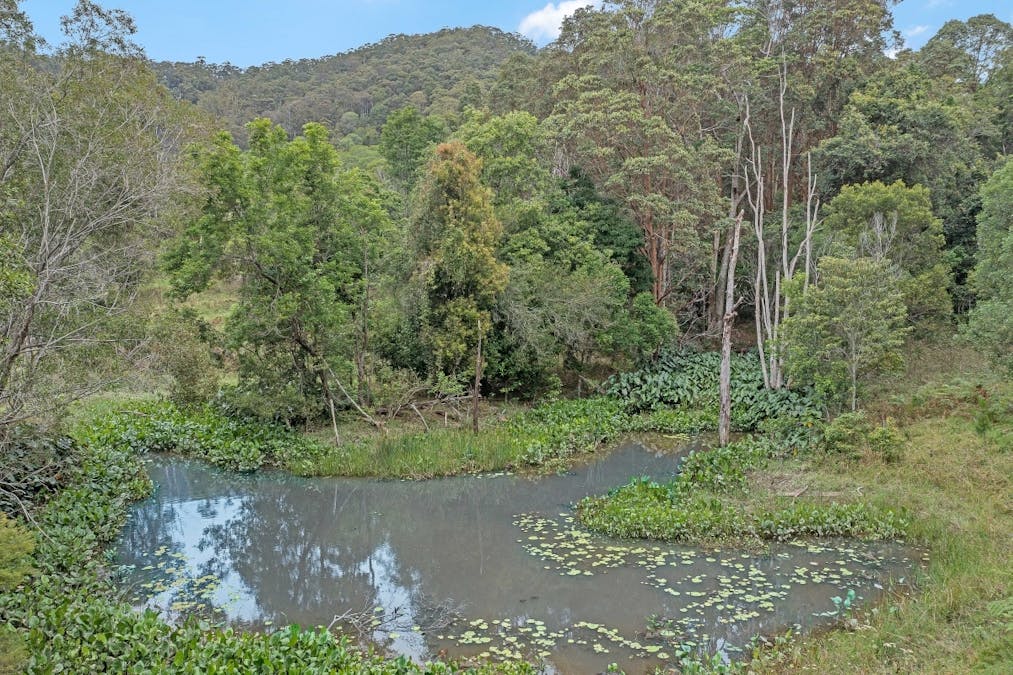 908 Reserve Creek Road, Reserve Creek, NSW, 2484 - Image 23