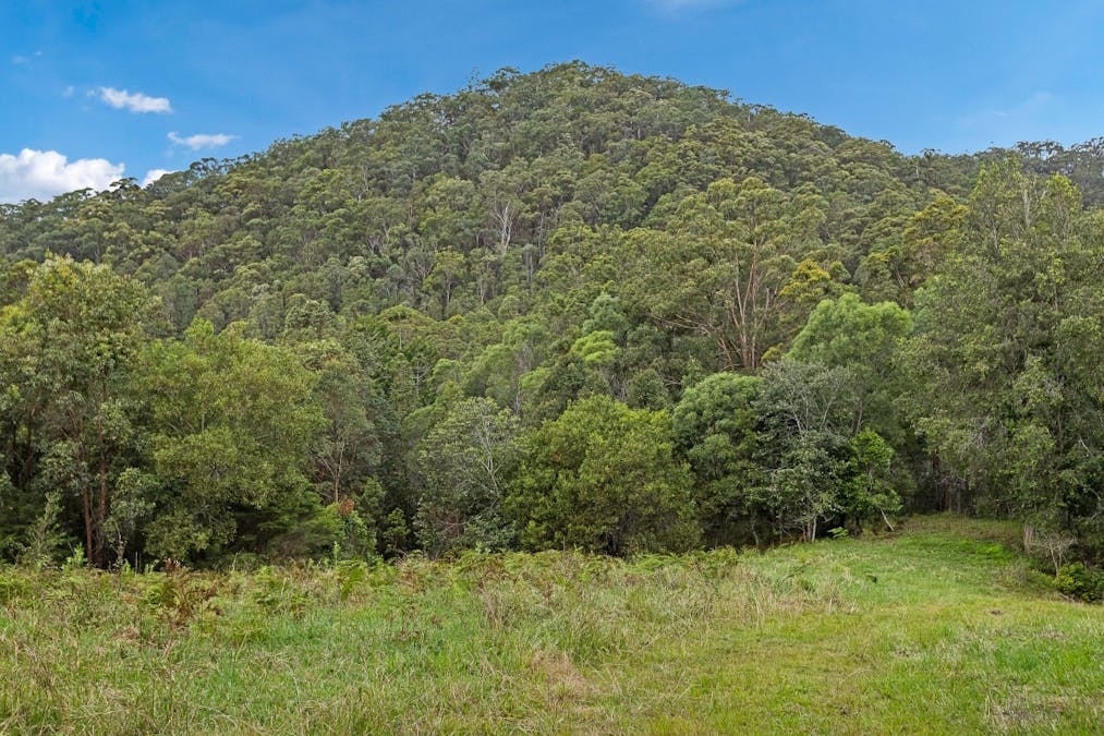 908 Reserve Creek Road, Reserve Creek, NSW, 2484 - Image 13