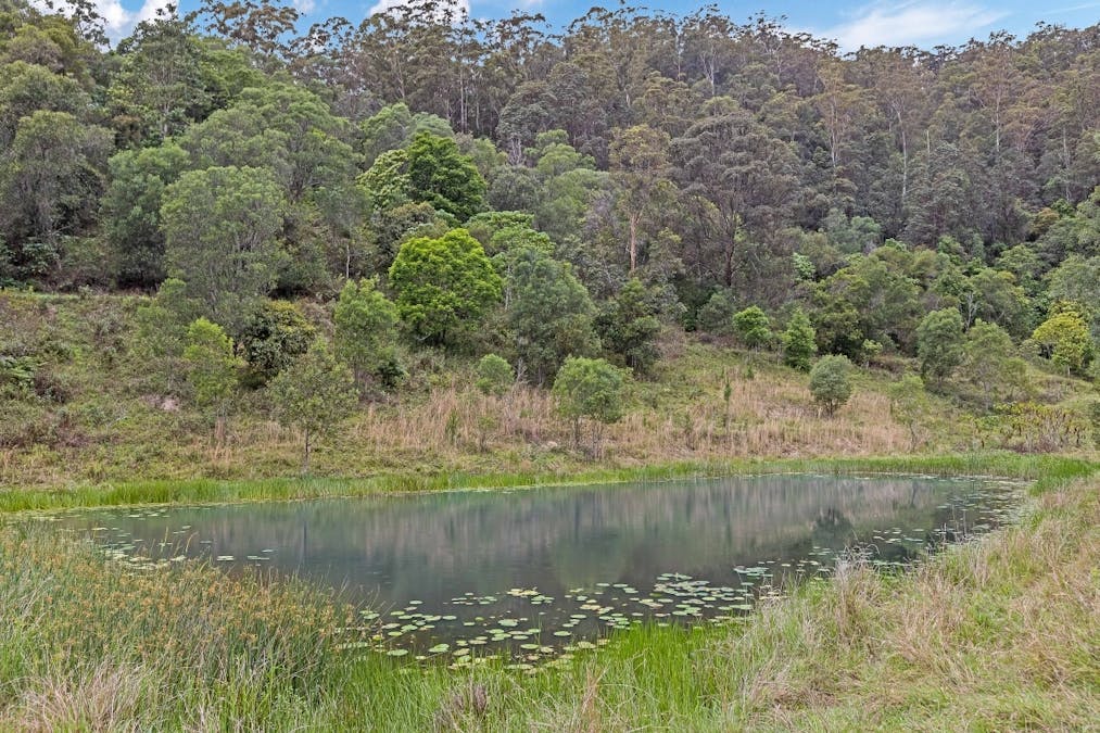 908 Reserve Creek Road, Reserve Creek, NSW, 2484 - Image 14