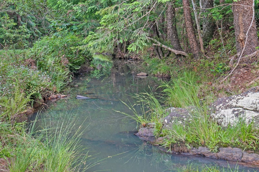 908 Reserve Creek Road, Reserve Creek, NSW, 2484 - Image 31