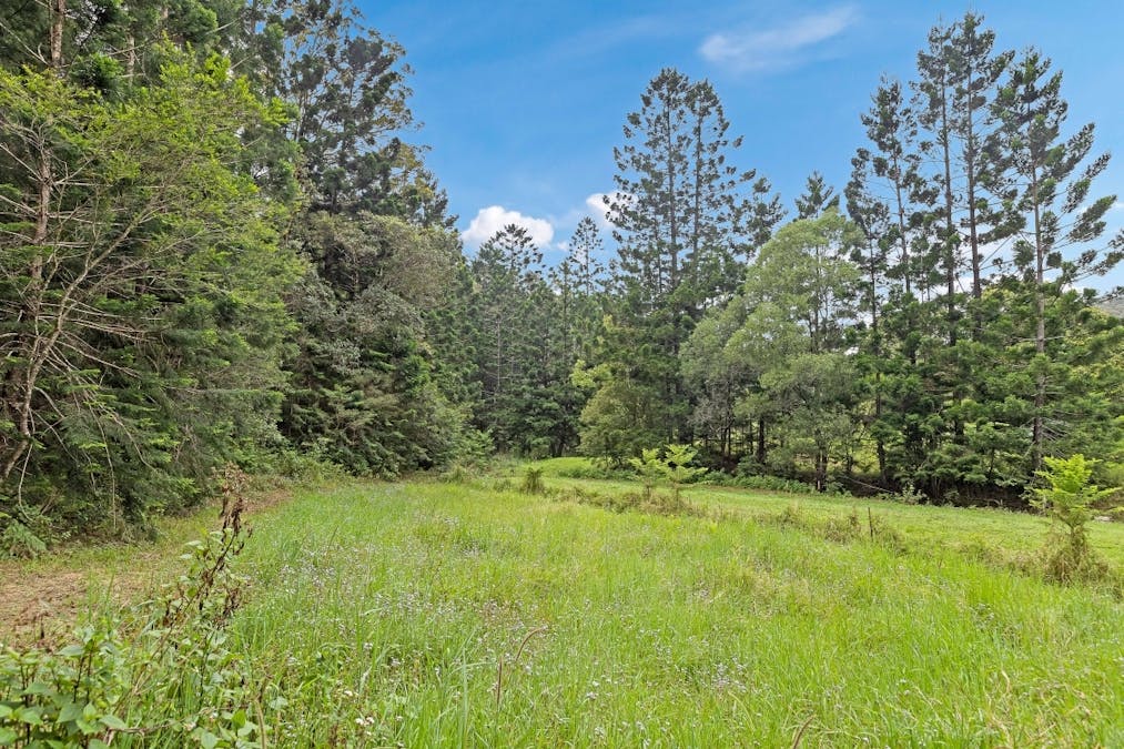 908 Reserve Creek Road, Reserve Creek, NSW, 2484 - Image 6