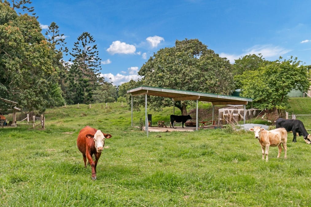 908 Reserve Creek Road, Reserve Creek, NSW, 2484 - Image 32