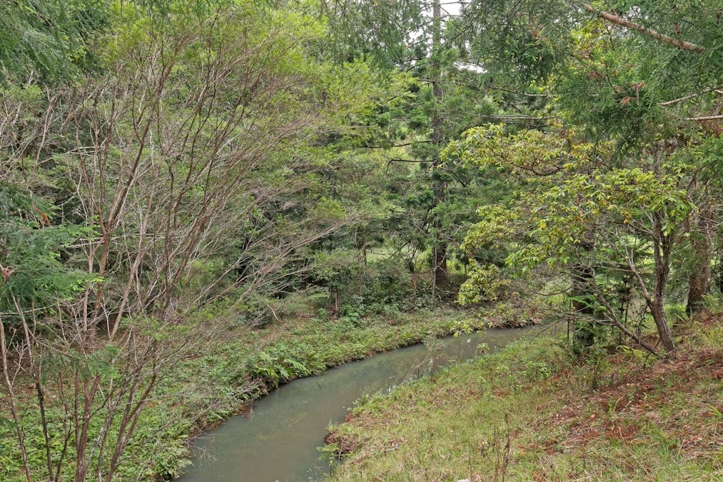 908 Reserve Creek Road, Reserve Creek, NSW, 2484 - Image 33