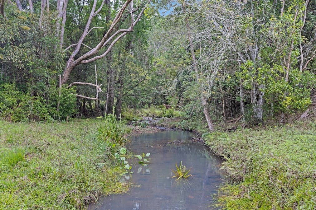 908 Reserve Creek Road, Reserve Creek, NSW, 2484 - Image 8