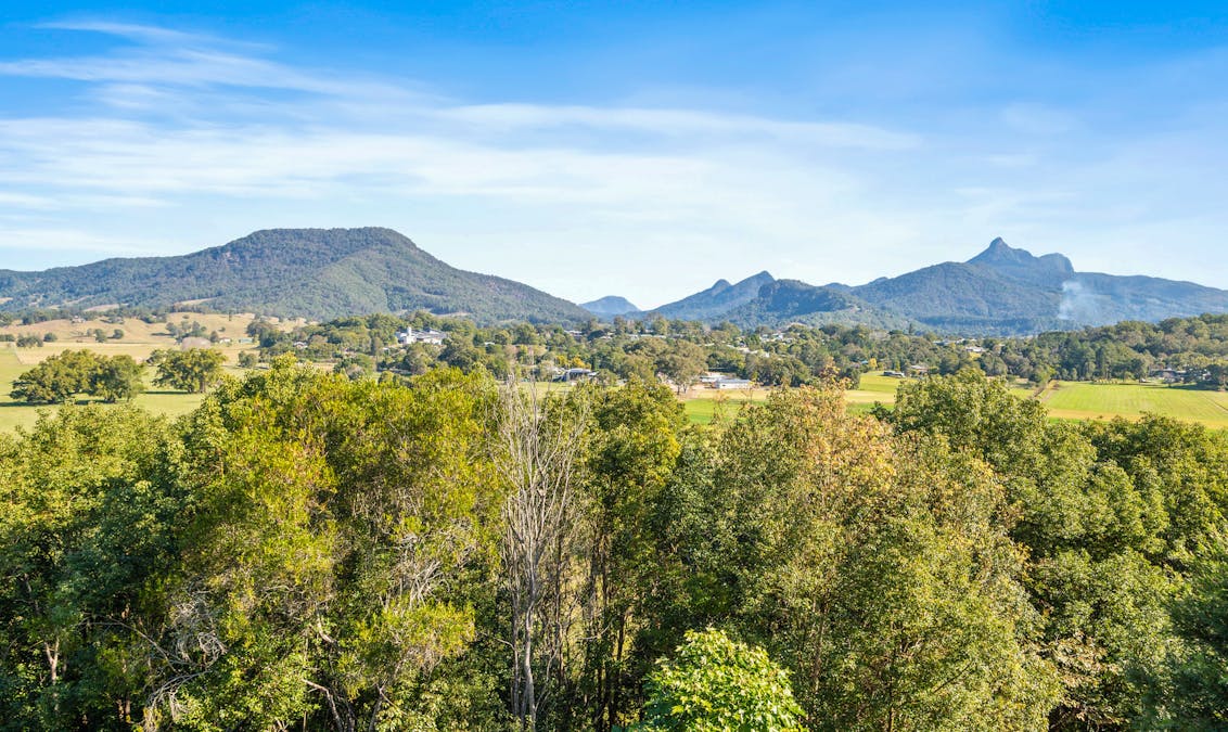 86 Byangum Road, Murwillumbah, NSW, 2484 - Image 18