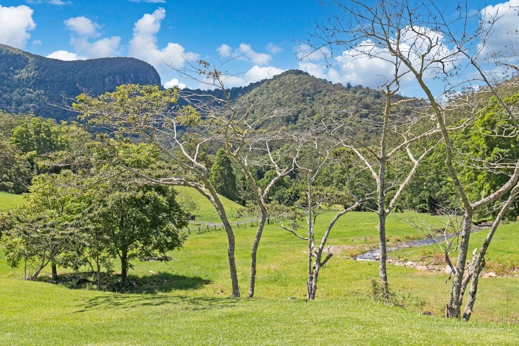 144 Booka Road, Upper Crystal Creek, NSW, 2484 - Image 28