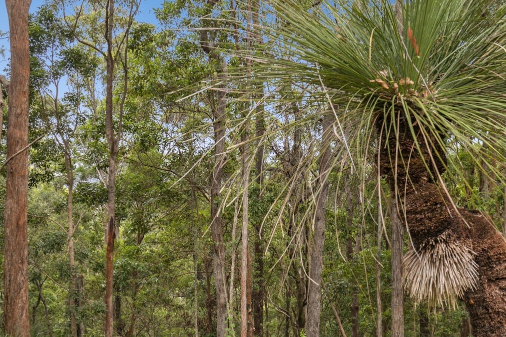 206 Ripps Road, Stokers Siding, NSW, 2484 - Image 8