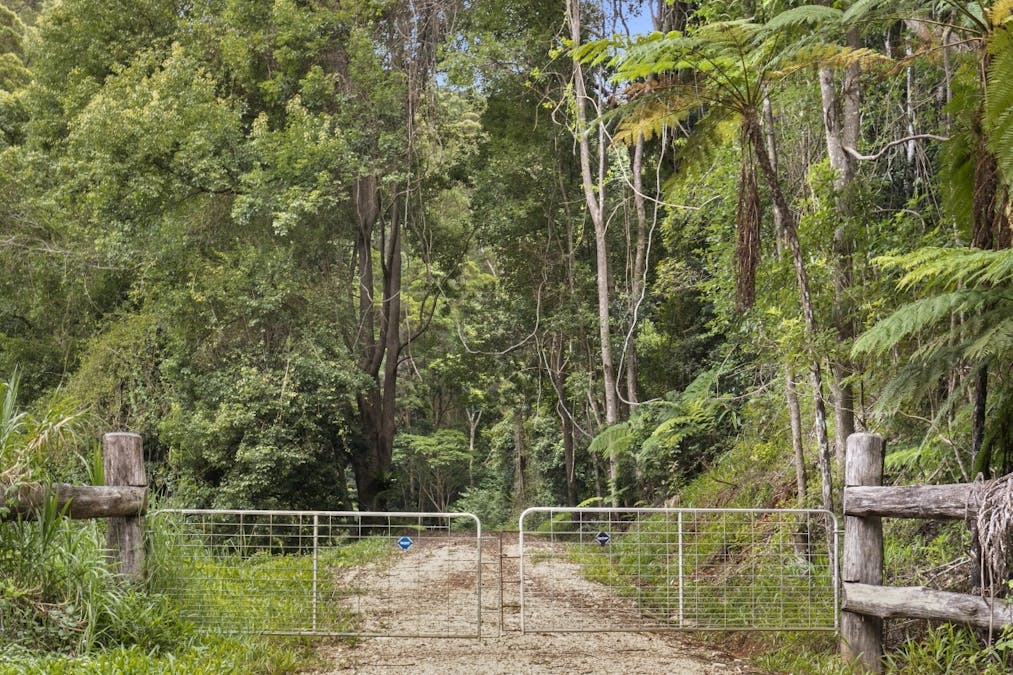 206 Ripps Road, Stokers Siding, NSW, 2484 - Image 5