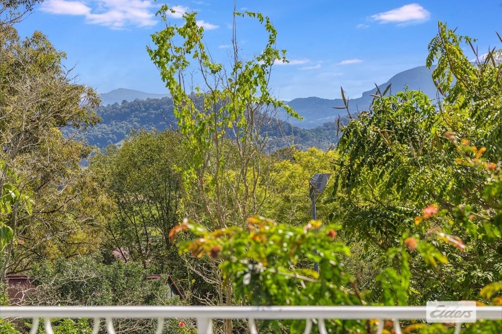 8 Waterloo Street, Murwillumbah, NSW, 2484 - Image 9