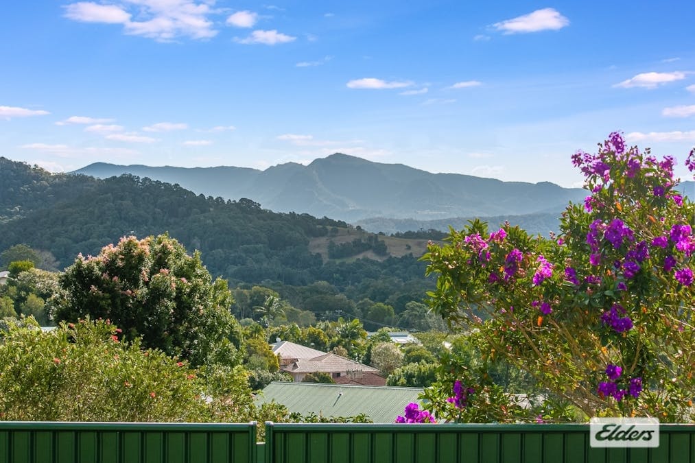 17 The Plateau , Murwillumbah, NSW, 2484 - Image 4