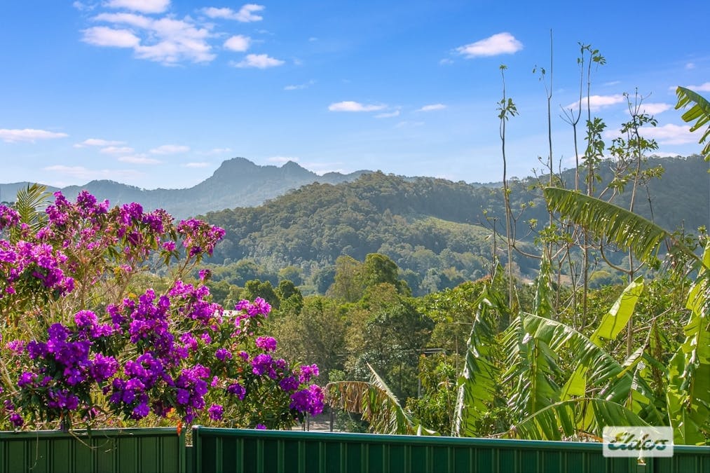 17 The Plateau , Murwillumbah, NSW, 2484 - Image 17