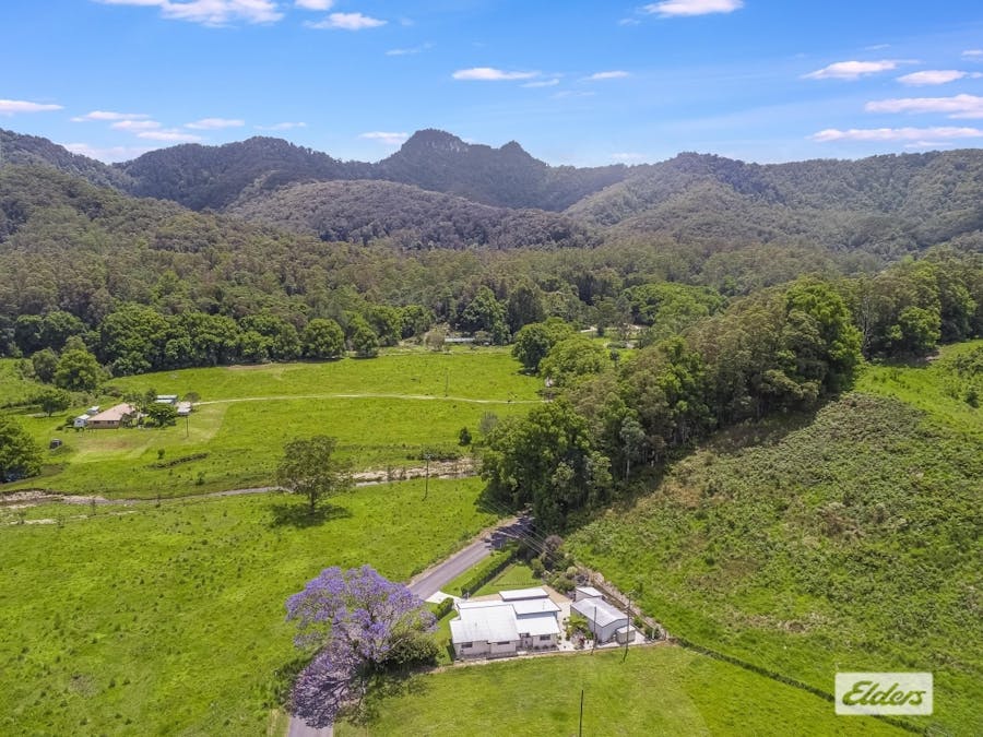 548 Upper Crystal Creek Road, Upper Crystal Creek, NSW, 2484 - Image 16