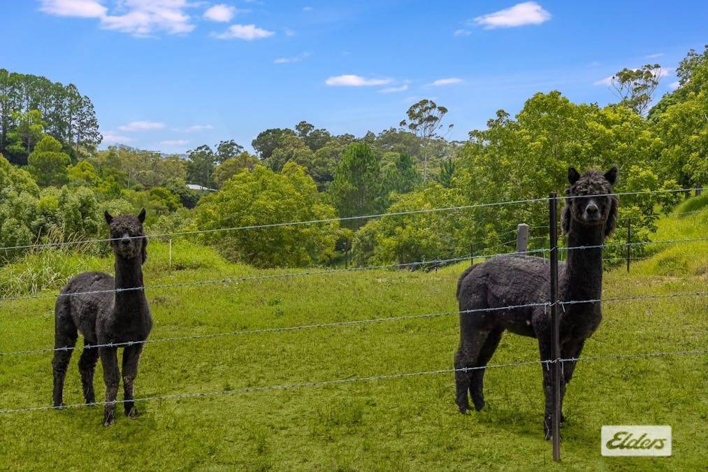 259 Campbells Road, Dungay, NSW, 2484 - Image 24