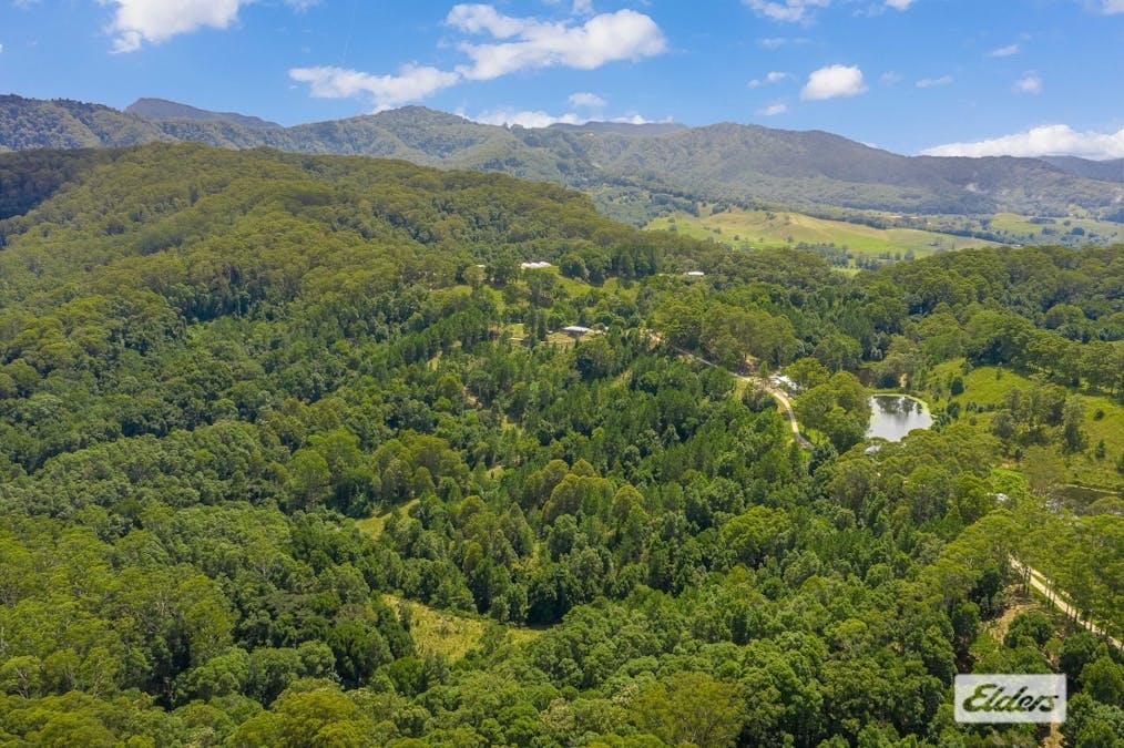 259 Campbells Road, Dungay, NSW, 2484 - Image 25