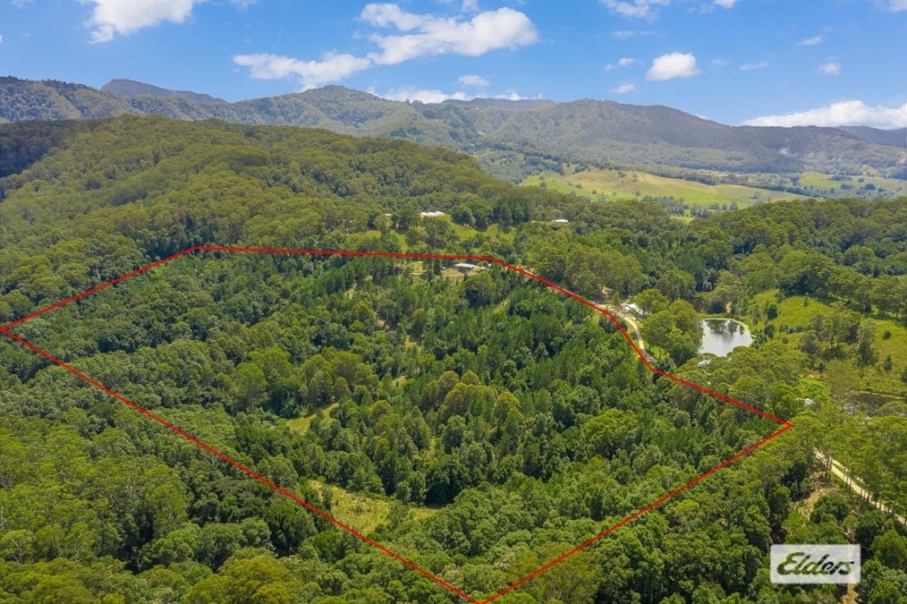 259 Campbells Road, Dungay, NSW, 2484 - Image 31