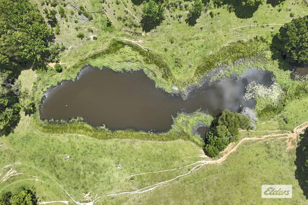 241 Nolans Road, Stokers Siding, NSW, 2484 - Image 6