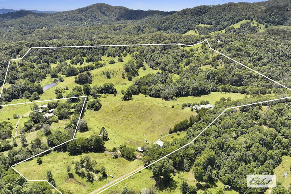241 Nolans Road, Stokers Siding, NSW, 2484 - Image 4