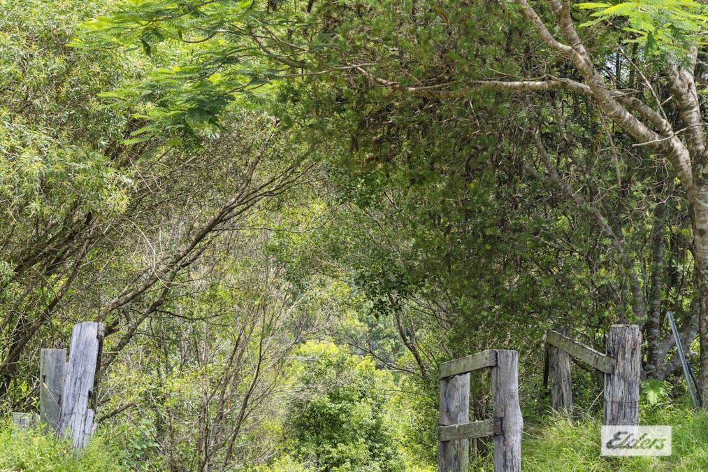 241 Nolans Road, Stokers Siding, NSW, 2484 - Image 5