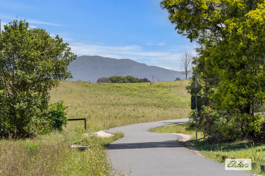 1052 Smiths Creek Road, Stokers Siding, NSW, 2484 - Image 18