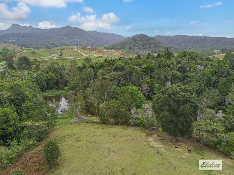 34 Birrigan Close, Nobbys Creek, NSW, 2484 - Image 28