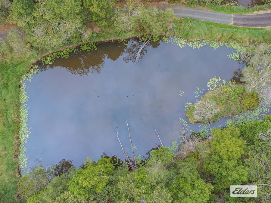 34 Birrigan Close, Nobbys Creek, NSW, 2484 - Image 31