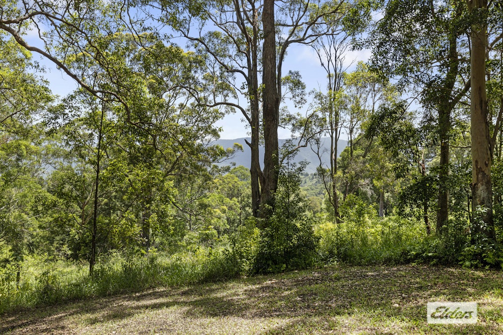 86 Tyalgum Ridge Road, Tyalgum, NSW, 2484 - Image 6