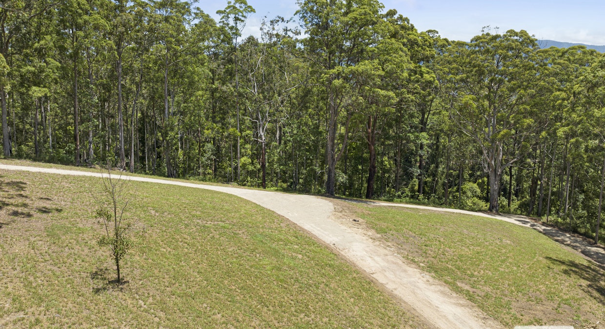 86 Tyalgum Ridge Road, Tyalgum, NSW, 2484 - Image 23