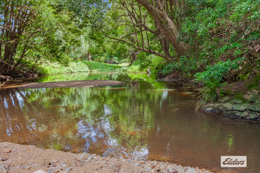 256 Stokers Road, Stokers Siding, NSW, 2484 - Image 13